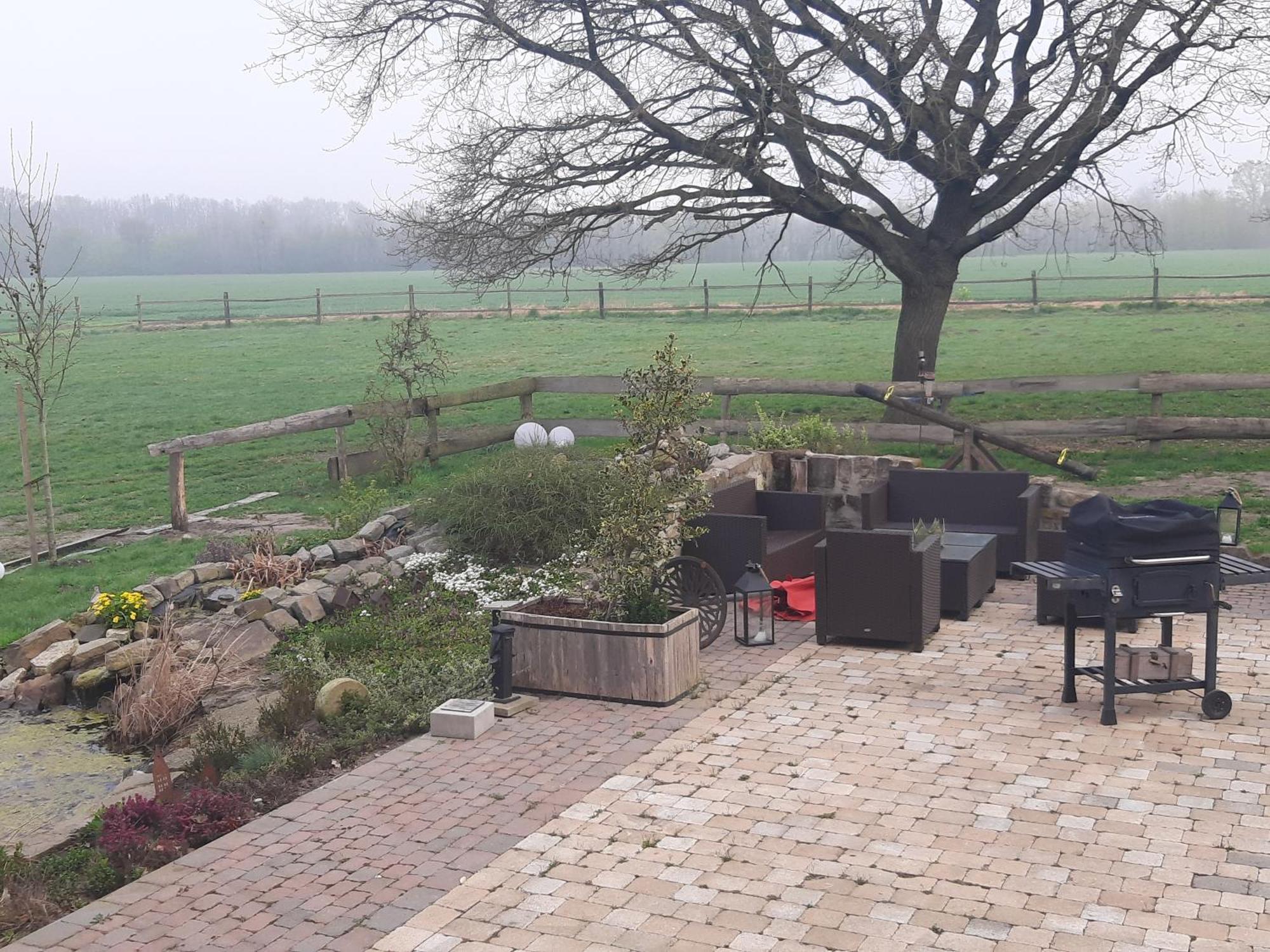 Ferienwohnungen Und Zimmer Hof Holtmann 蒙斯特 客房 照片